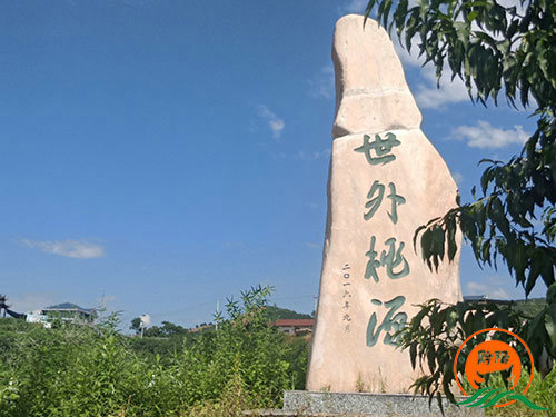 黔陽瞐黔陽黃桃產業園3